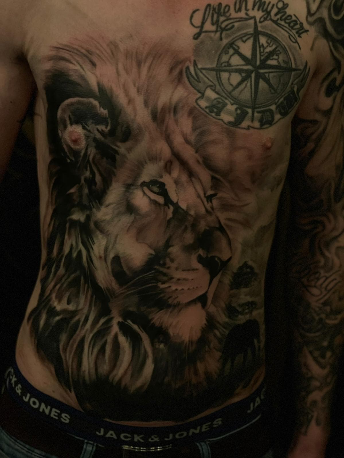 Realistisch leeuw tattoo op buik